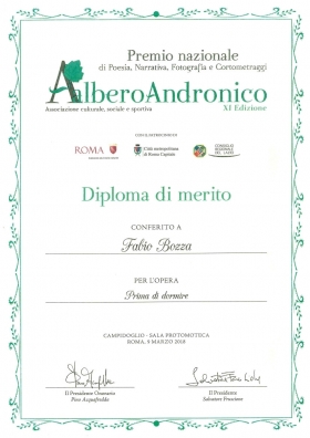 diploma di merito premio Alberoandronico - Bookstore